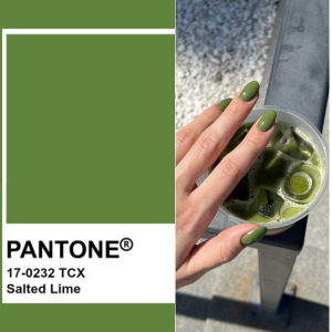 Salted Lime pantone
